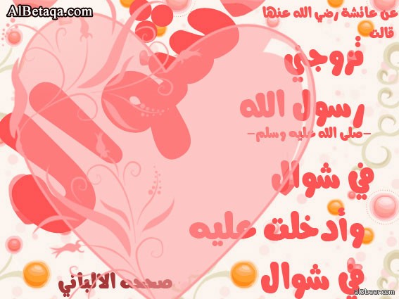 naby sonnan0042