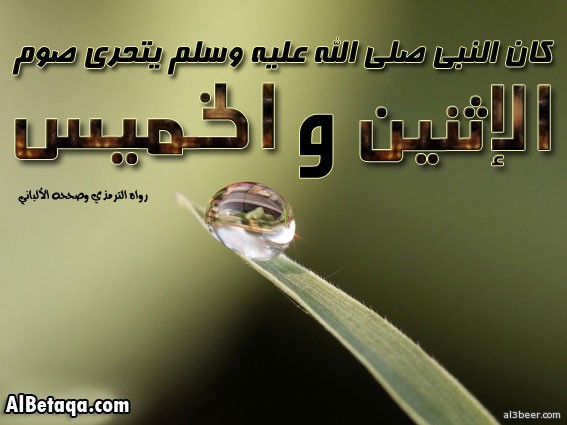 naby sonnan0043