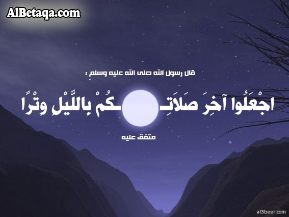 aebadat qyam0022