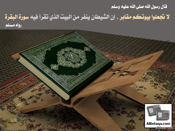 quran fada2el swar0049