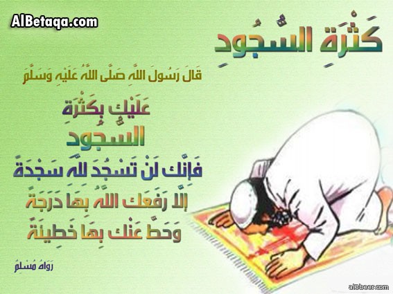 aebadat nawafel0004