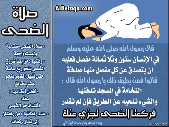 aebadat nawafel0020