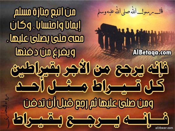 aebadat gana2ez0002