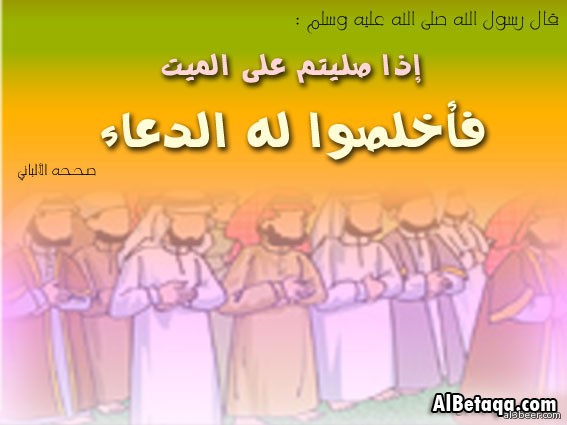 aebadat gana2ez0004