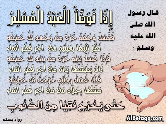 aebadat wodooa0011