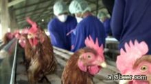 تحذير علمي بأن فيروس  H7N9 يشكل "تهديدا جديا"