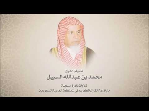 الشيخ محمد السبيل - القصص إلى العنكبوت