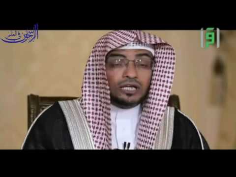 برنامج "ونمارق مصفوفة 2- 1437" - آيات من الجزء السابع