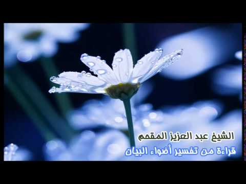 94- قراءة من تفسير أضواء البيان