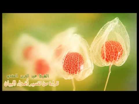 106- قراءة من تفسير أضواء البيان