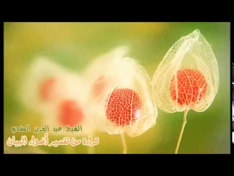 119- قراءة من تفسير أضواء البيان