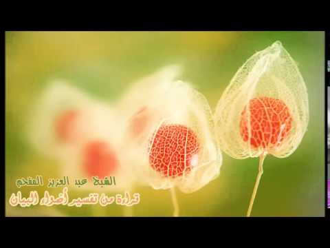 122- قراءة من تفسير أضواء البيان