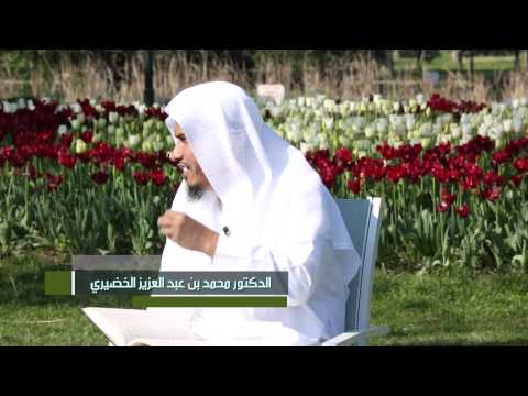 بيّنات [10] سورة المائدة الآية 41