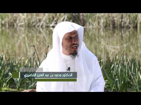 بيّنات [15] سورة المائدة الآية 48