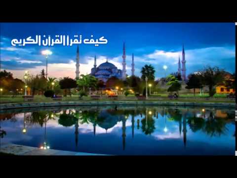 كيف تقرأ القرآن الكريم - الحلقة 446