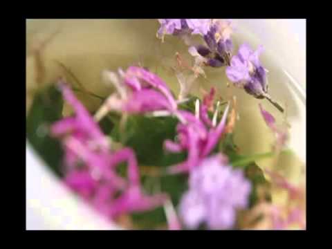 بناء الفكر نحو الإيجابية (المؤثرات الخارجية)