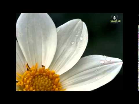 من روائع السلف ( الشهرة )