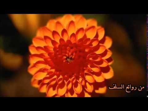 من روائع السلف ( البر بالآباء )