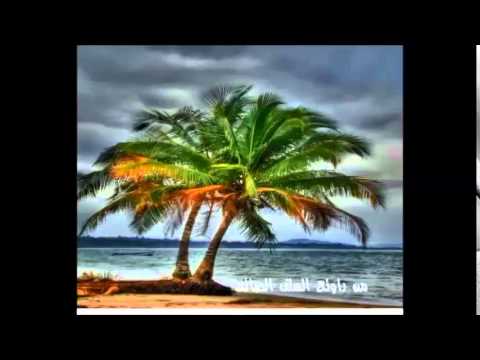 من روائع السلف ( هل أصابتك الفتنة )