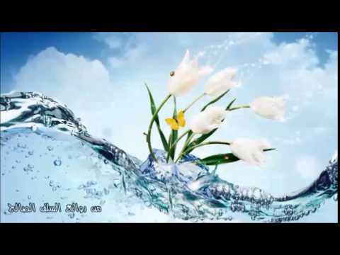 من روائع السلف الصالح ( طلب العلم )