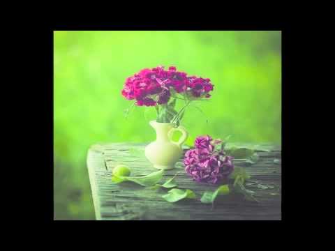 ( سورة الليل ) - محمد الخضيري