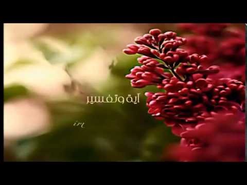 (سورة الانفطار 17 - 19) - محمد الربيعة