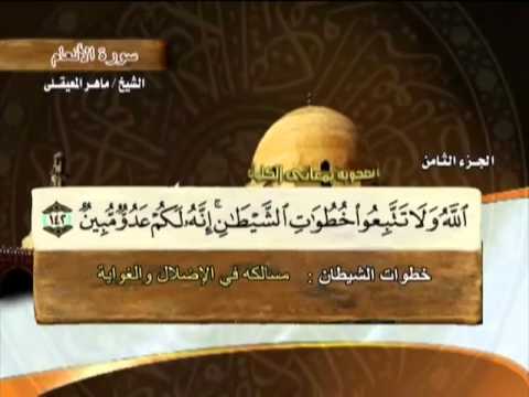 الختمة المرتلة | ماهر المعيقلي - ج 8