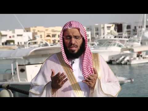 الحلقة [17] برنامج #تغريدات د. عائض القرني