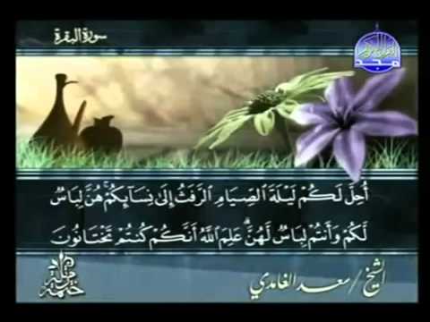 الختمة المرتلة | سعدالغامدي- ج 2