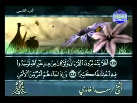 الختمة المرتلة | سعدالغامدي- ج 5