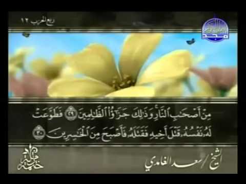 الختمة المرتلة | سعدالغامدي- ج 6