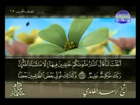 الختمة المرتلة | سعدالغامدي- ج 8