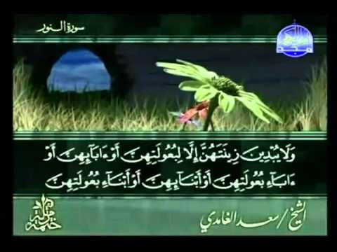 الختمة المرتلة | سعدالغامدي- ج 18